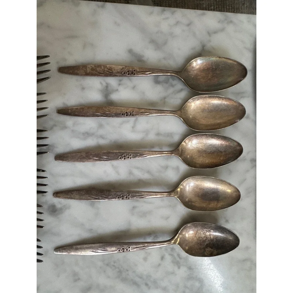 Oneida Community Enchantment Gentle Rose Silverplate Flatware 17pc Set 1960